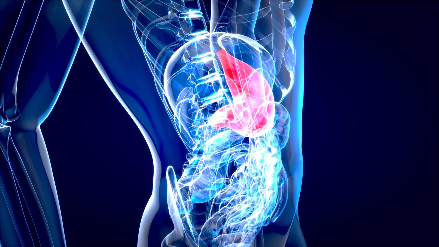 Polypectomy Procedure